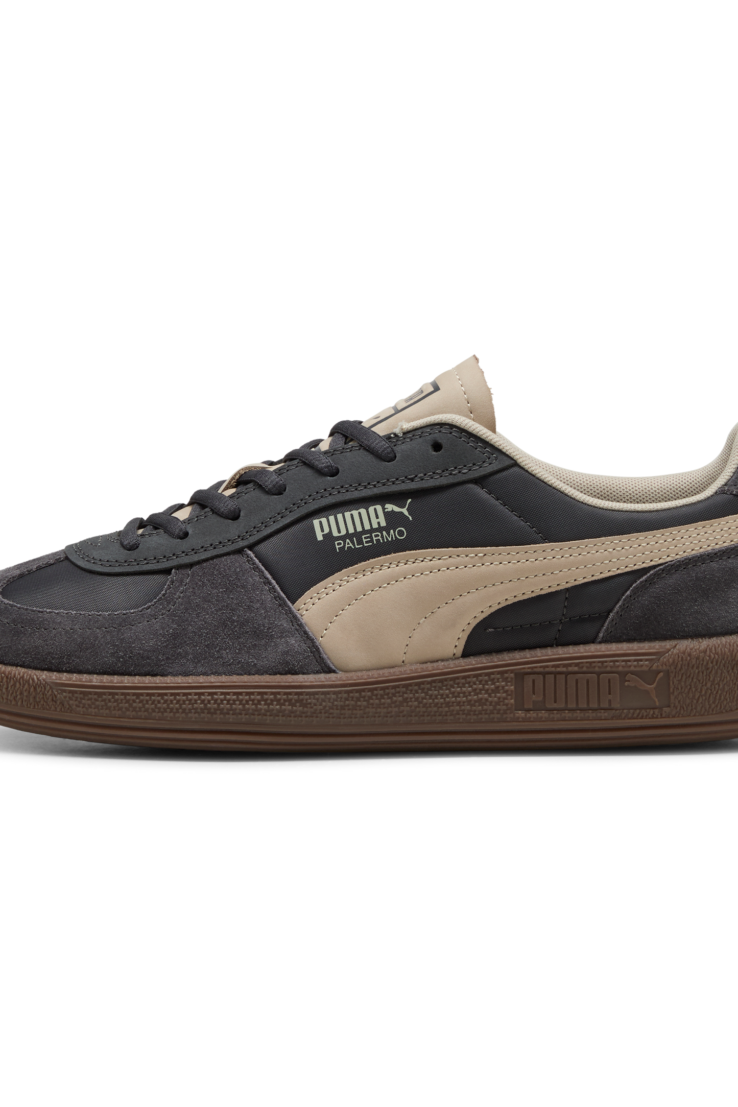 Palermo Pop Dusky Gray Desert