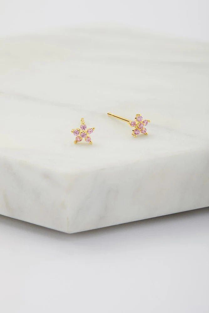 Amelia Stud Earring - Pink Gold