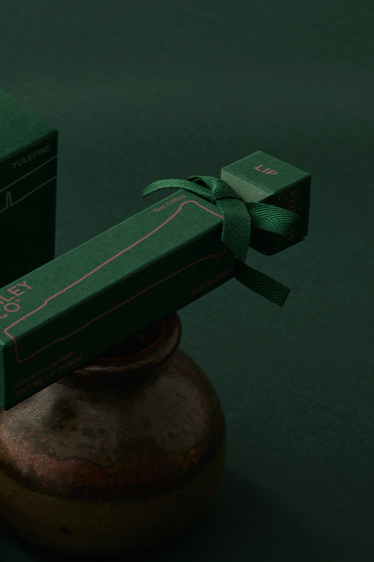 Christmas Mini Cracker - Lip Punch