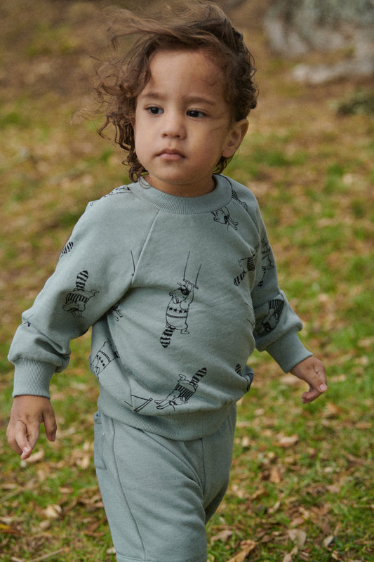 Emerson Sweater - Raccoon