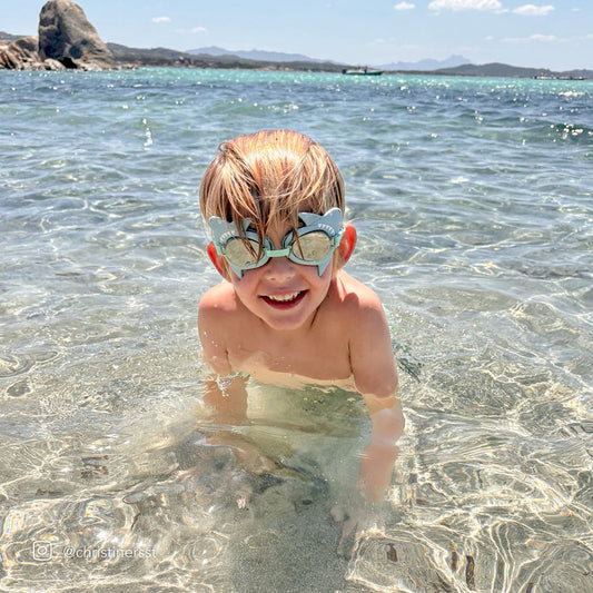 Salty The Shark Goggles