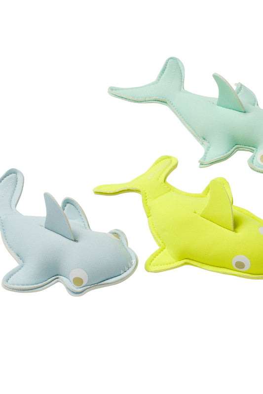 Salty The Shark Dive Buddies