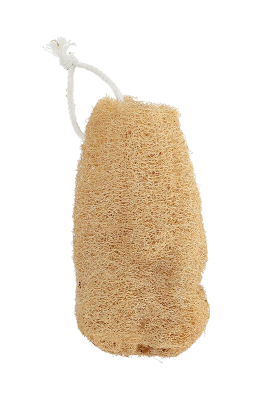 Loofah Scrub Sponge