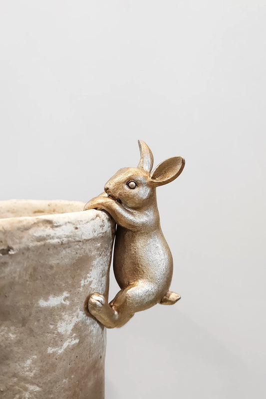Rabbit Hanging Rim - Gold