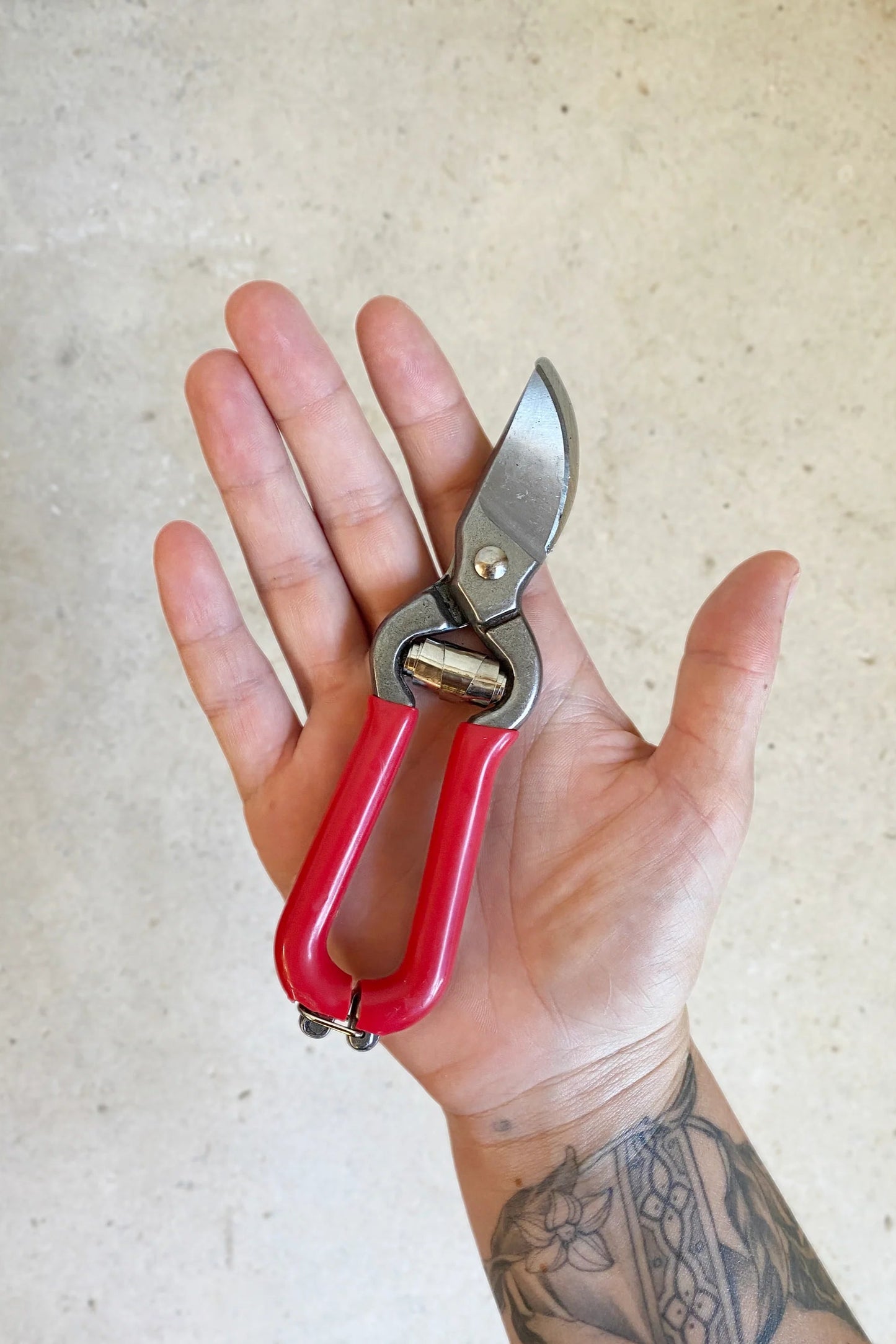 Stainless Steel Pruner - Red