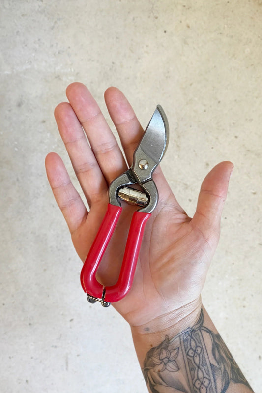 Stainless Steel Pruner - Red