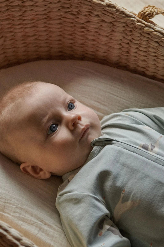 Dreamlands Suit - Geese Print