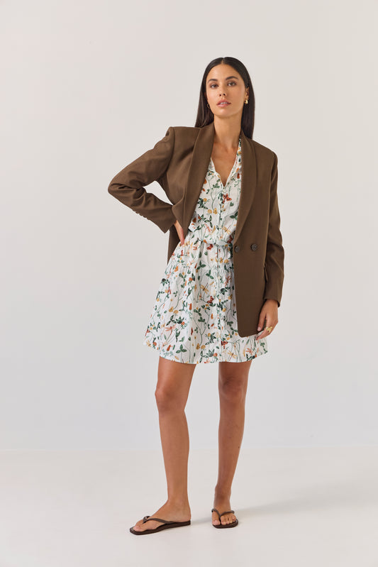 Gregory Mini Dress - Dragonfly