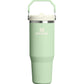 Flip Straw Tumbler 30oz - Pistachio