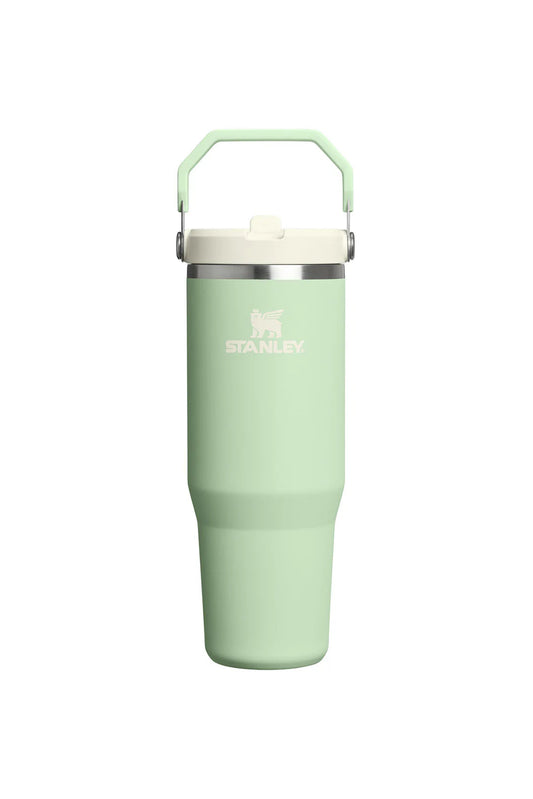 Flip Straw Tumbler 30oz - Pistachio