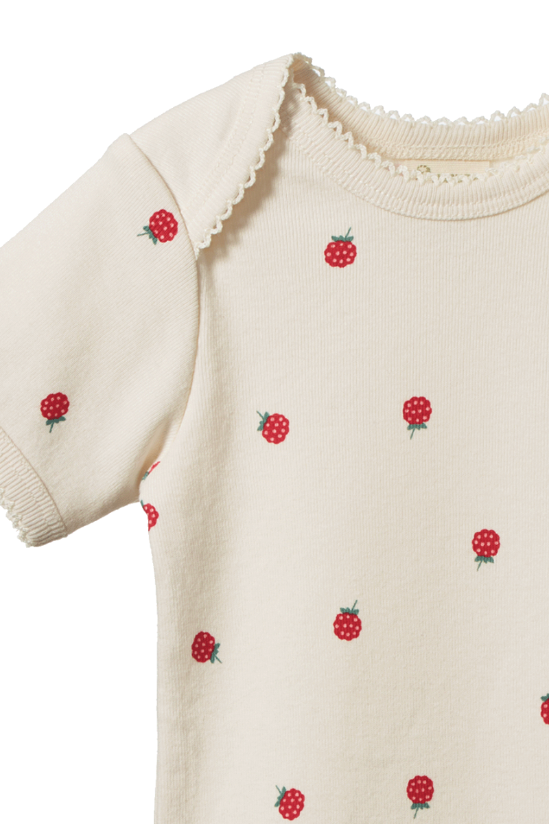Short Sleeve Bodysuit - Raspberry